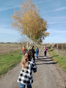 W poszukiwaniu jesieni