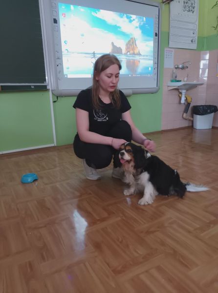 Tutaj powinien być opis