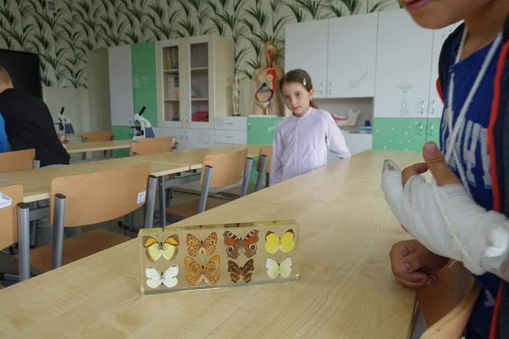 Tutaj powinien być opis