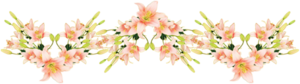 szlaczek2png [300x84]
