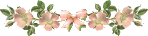 liniapastelgif [300x74]