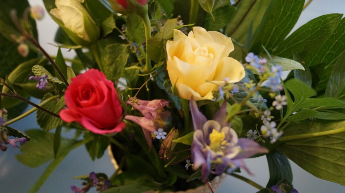 dsc01057.jpg dsc01057.jpg