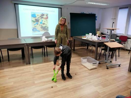 Tutaj powinien być opis