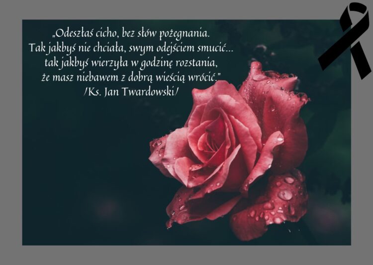 Tutaj powinien być opis
