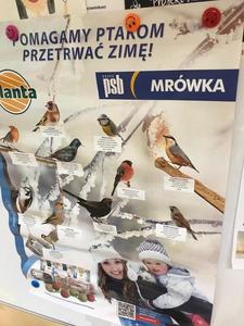 Dbajmy o ptaki