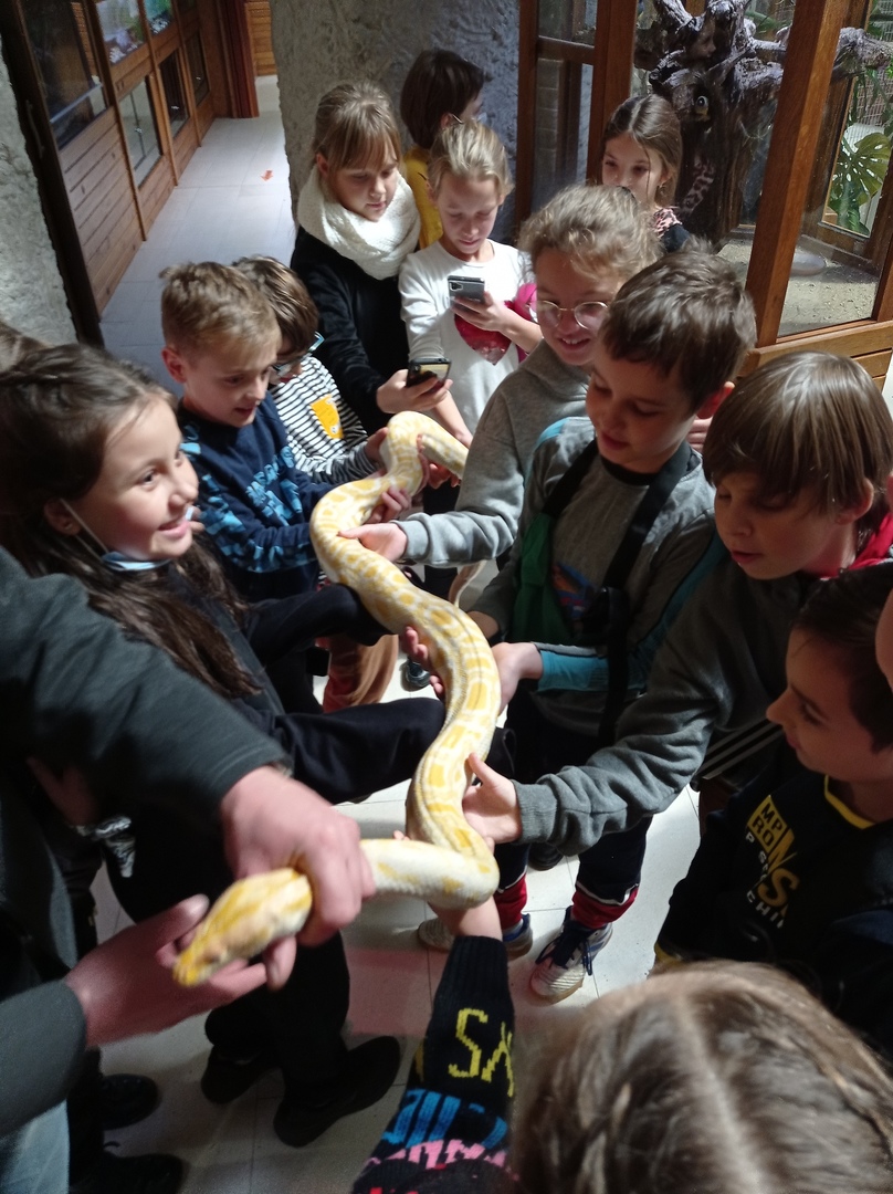 ZOO NA KASZUBACH