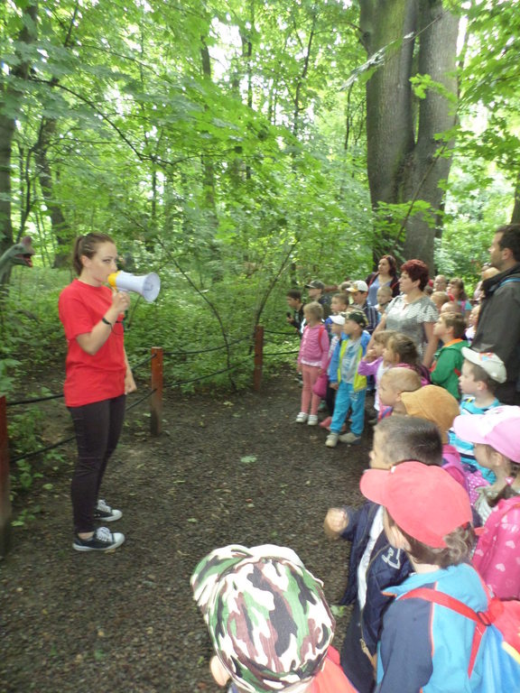 Tutaj powinien być opis