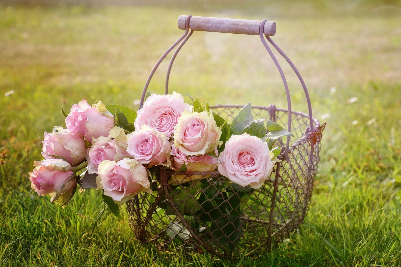 https://pixabay.com/pl/photos/r%c3%b3%c5%bce-kwiaty-kosz-r%c3%b3%c5%bcowe-r%c3%b3%c5%bce-1566792/