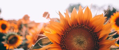 https://pixabay.com/