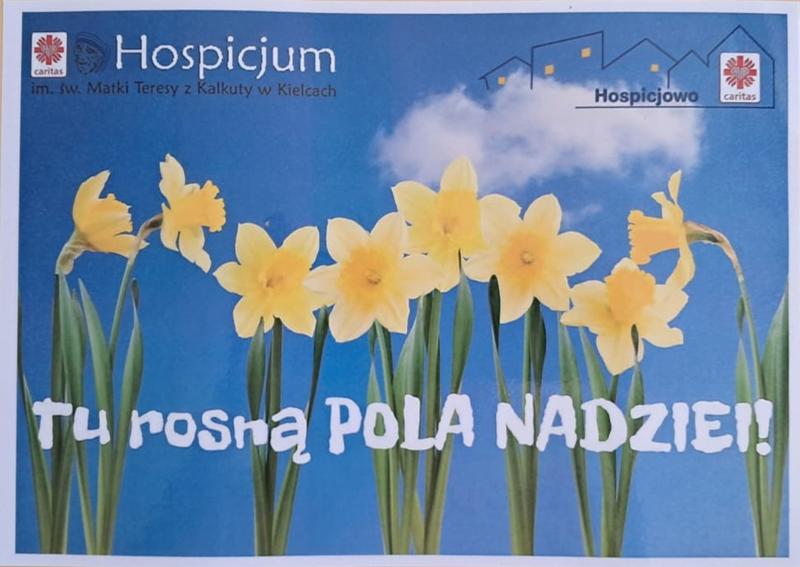 Przedszkolaki wzięły udział w akcji Pola Nadziei