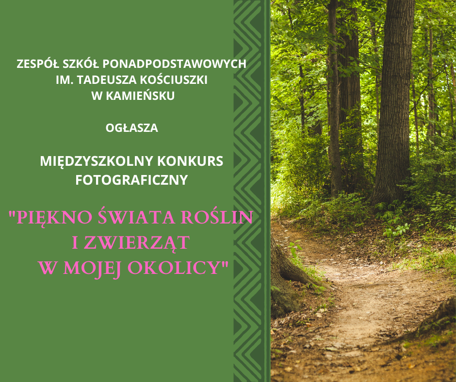 Tutaj powinien być opis obrazka