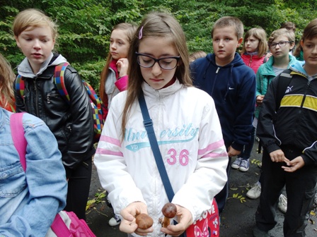 Tutaj powinien być opis