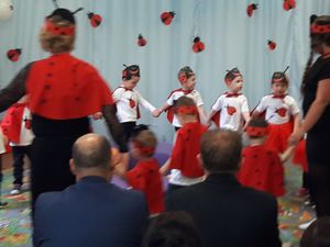 img20171030wa0012jpg [300x225]