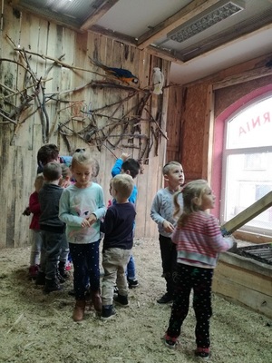 img_20171027_101506_resized_20171102_081428477jpg [300x400]