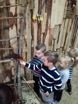 img_20171027_101715_resized_20171102_081431549jpg [300x400]