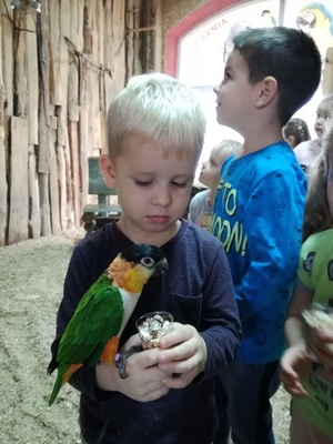 img_20171027_102407_resized_20171102_081432519jpg [300x400]