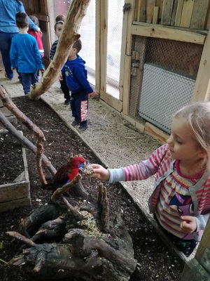 img_20171027_102604_resized_20171102_081423255jpg [300x400]