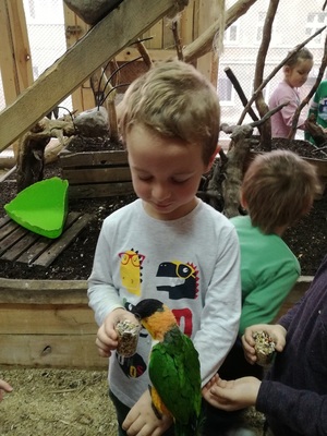 img_20171027_102725_resized_20171102_081433368jpg [300x400]