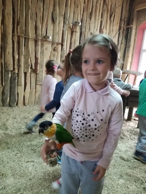 img_20171027_102752_resized_20171102_081427646jpg [300x400]