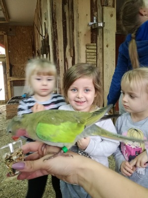 img_20171027_103016_resized_20171102_081424146jpg [300x400]