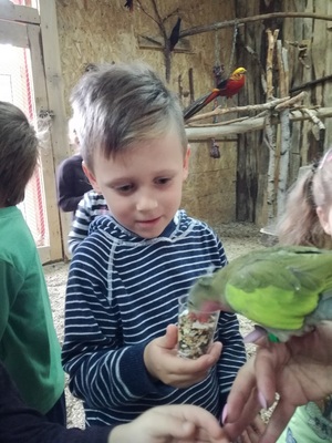 img_20171027_103105_resized_20171102_081426760jpg [300x400]