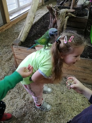 img_20171027_104004_resized_20171102_081425746jpg [300x400]