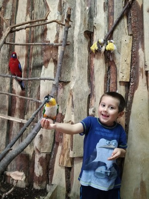 img_20171027_105917_resized_20171102_081424845jpg [300x400]