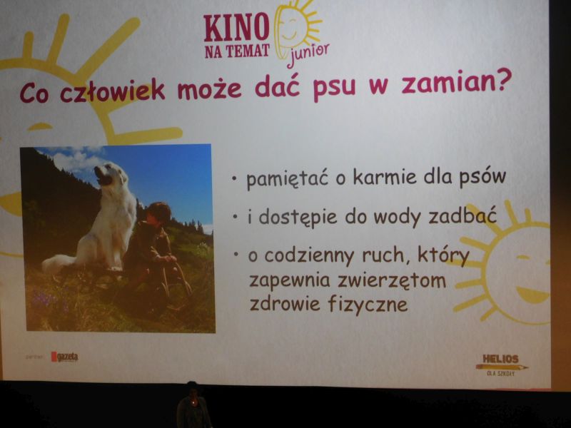 Tutaj powinien być opis