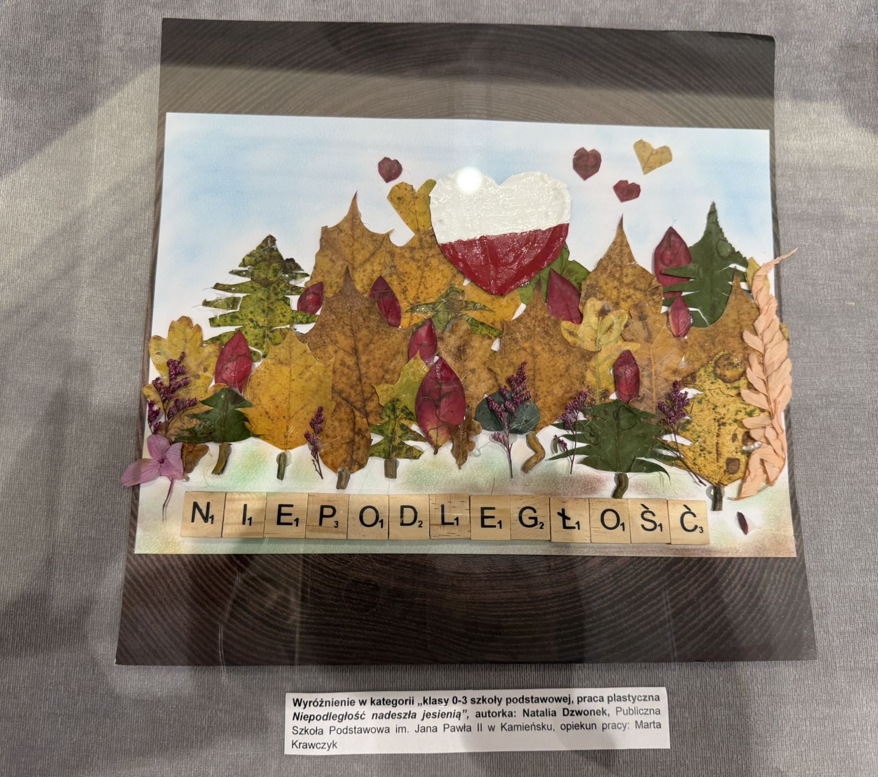 Tutaj powinien być opis