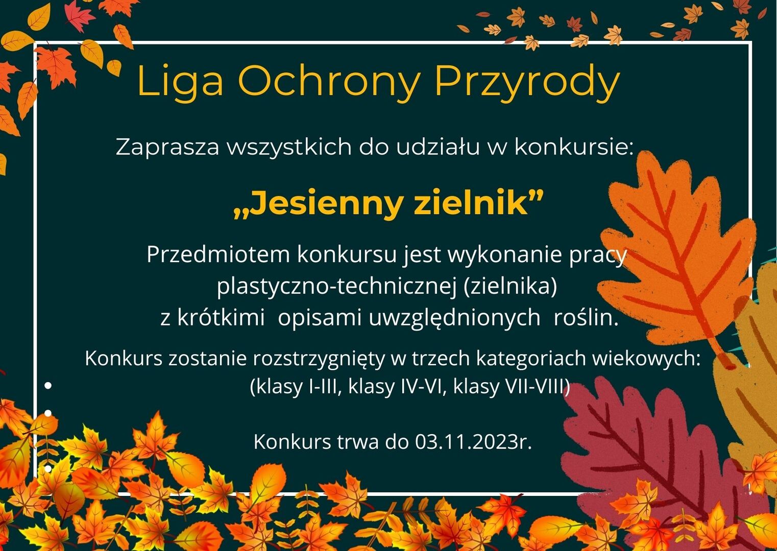 Tutaj powinien być opis