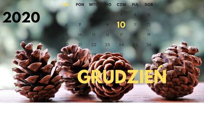 10_grudzien_kalendarzjpg [400x225]