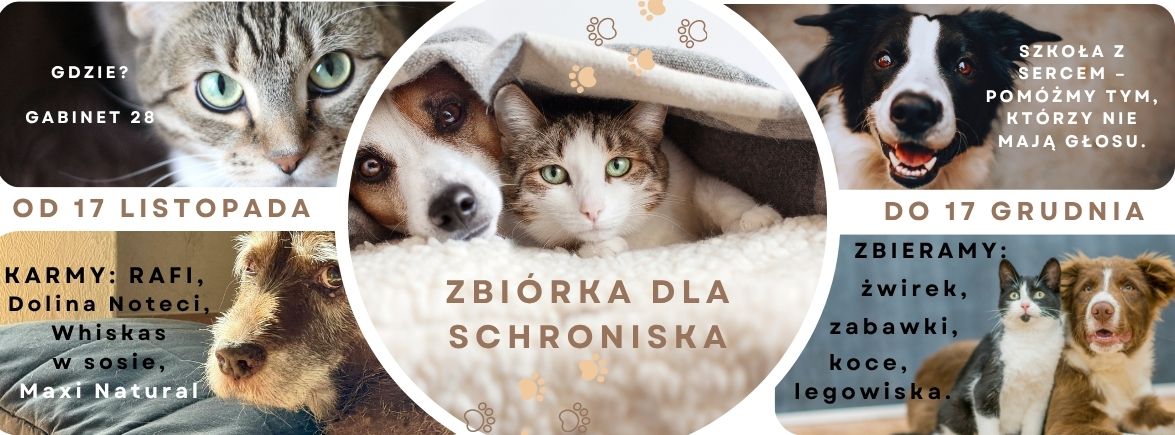 black_and_white_collage_adopt_a_cat_facebook_fundraiser_cover_photo.jpg [1175x435]