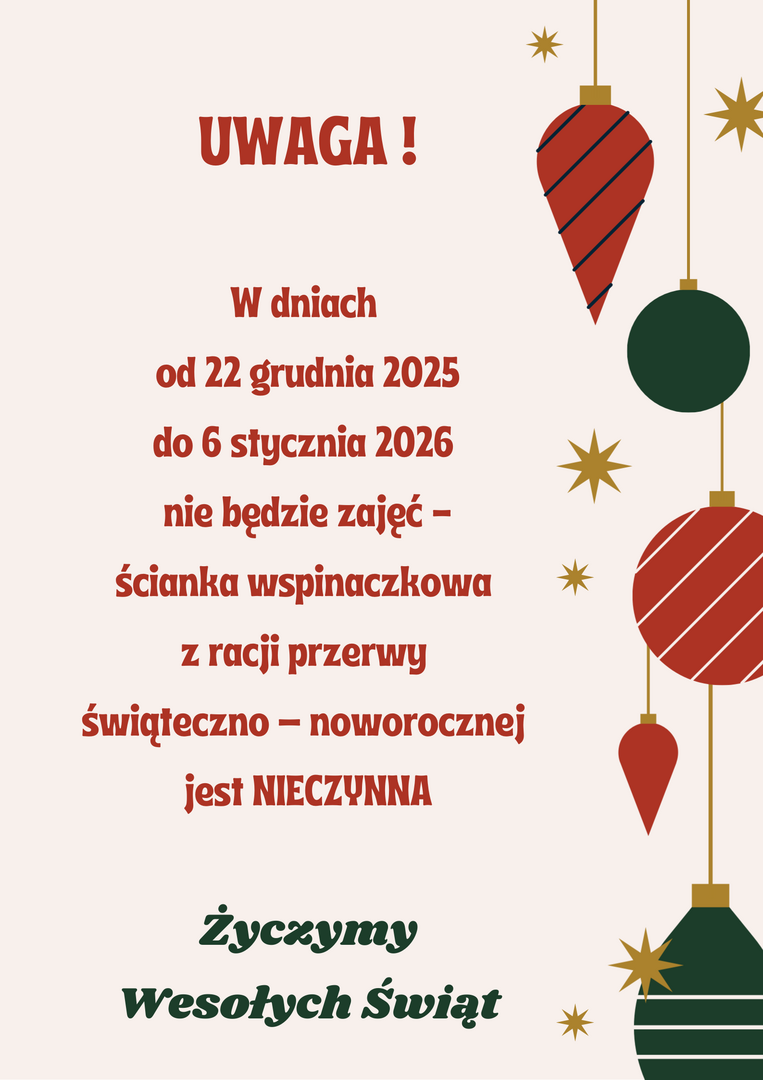 ciemny_zielony_i_czerwony_geometryczny_przyjazny_plakat_firmowy__swieta.png [1587x2245]