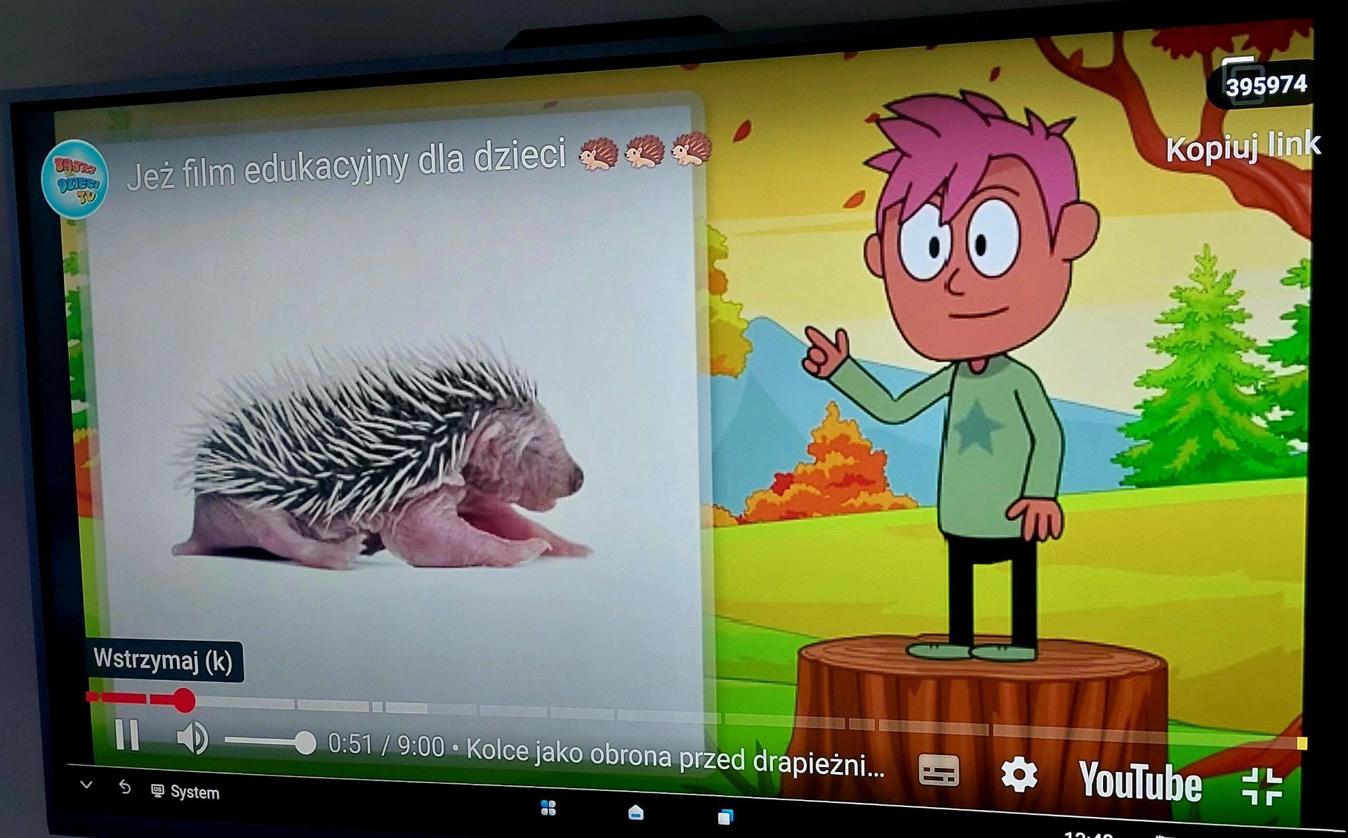 Tutaj powinien być opis