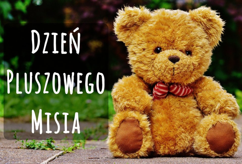 Tutaj powinien być opis