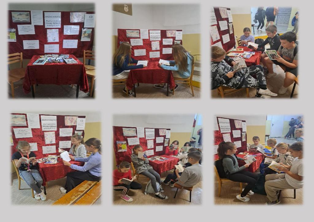 Tutaj powinien być opis