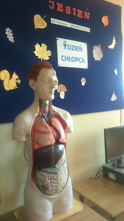 Tutaj powinien być opis