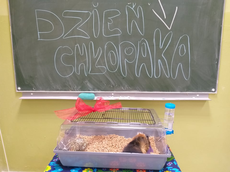 Tutaj powinien być opis