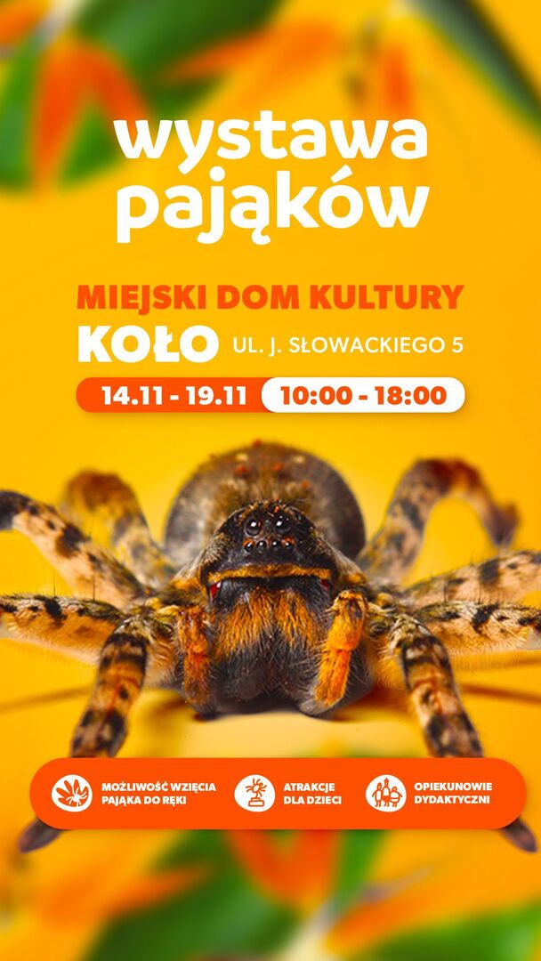 Tutaj powinien być opis