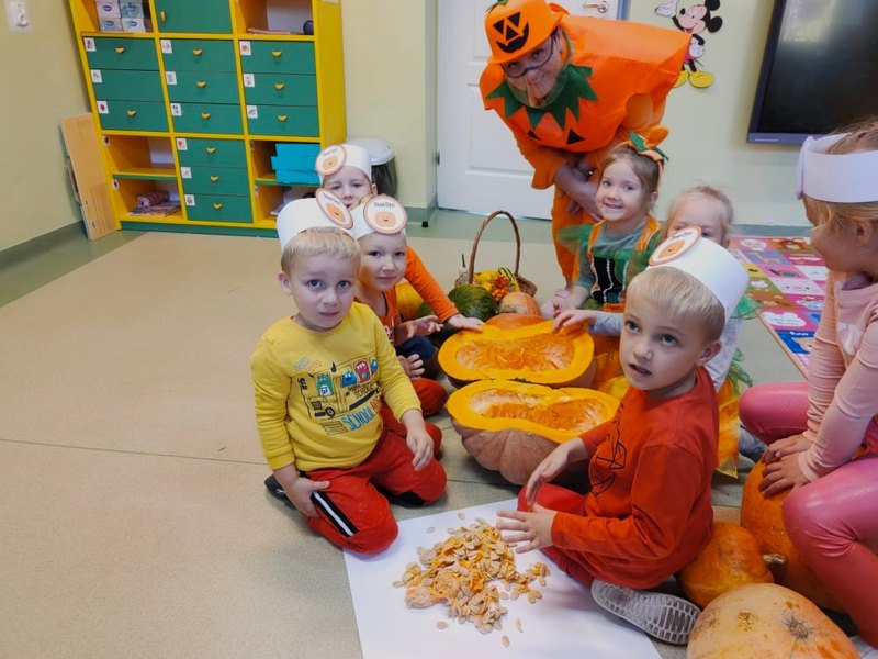 Zdjęcie