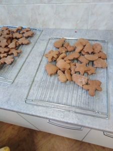 img_20221209_100057jpg [225x300]