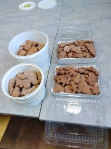 img_20221209_102249jpg [225x300]