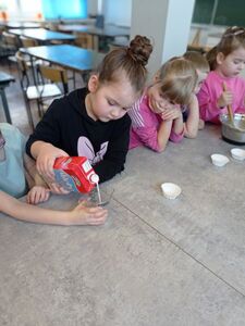 img_20230405_112635.jpg[small]