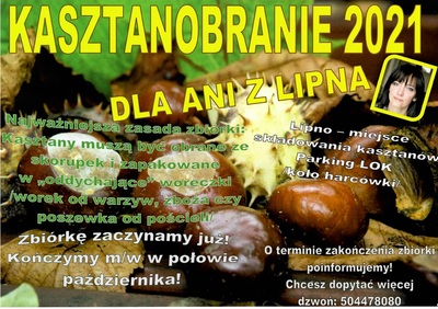 logo - Kasztanobranie 2021