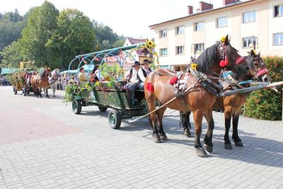 zdj. powiat cieszyn