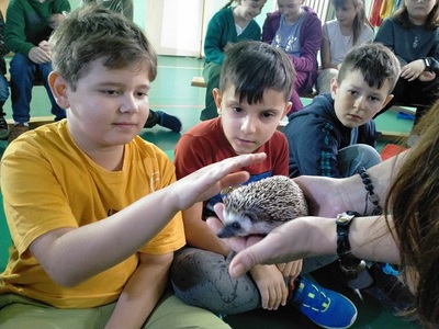 Chłopiec dotyka jeża