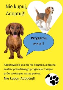 Praca konkursowa