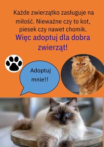 Praca konkursowa