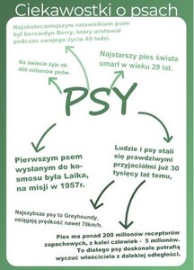 Praca konkursowa