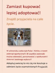 Praca konkursowa